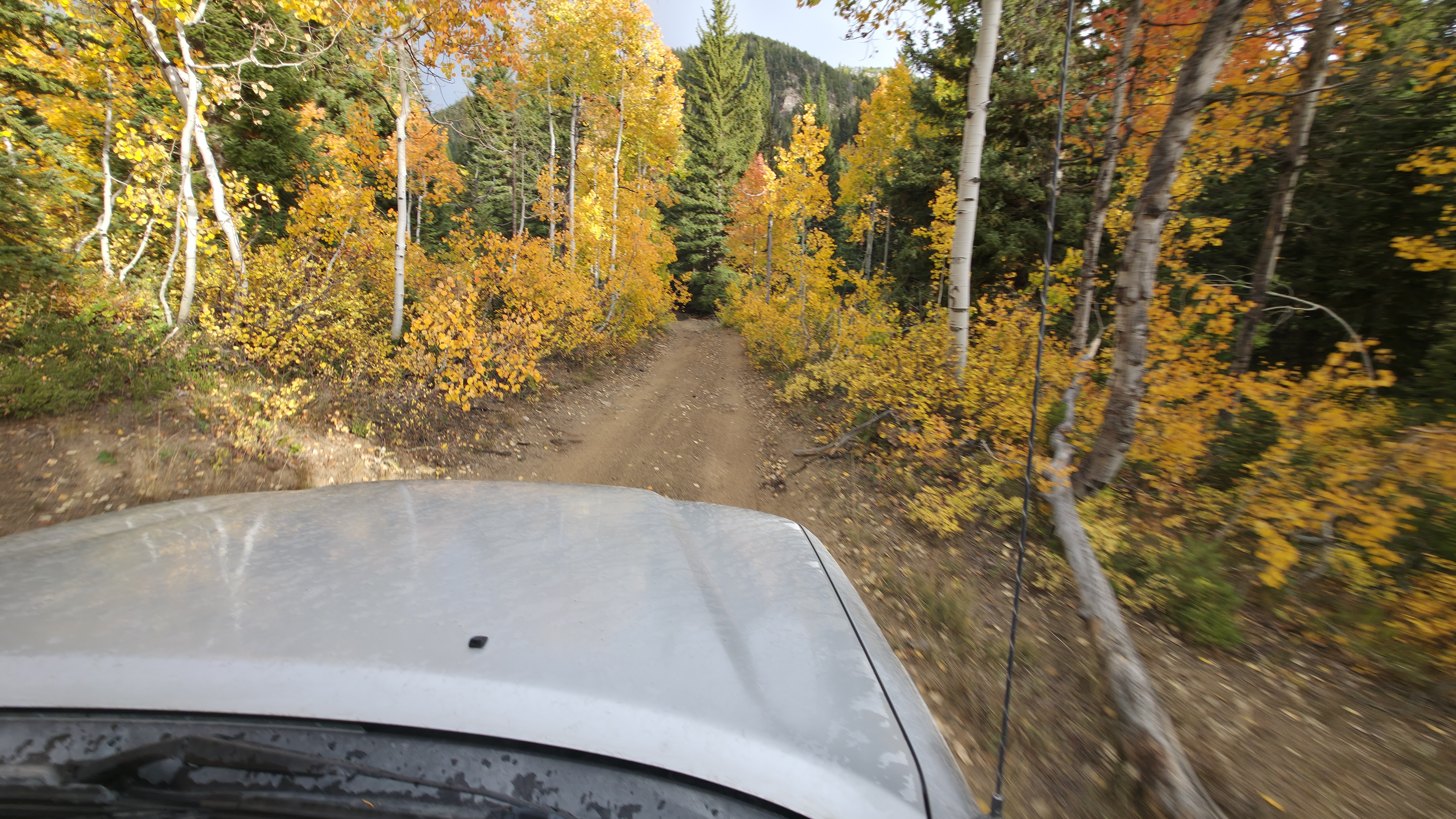 20250927_174337 20250927_174337