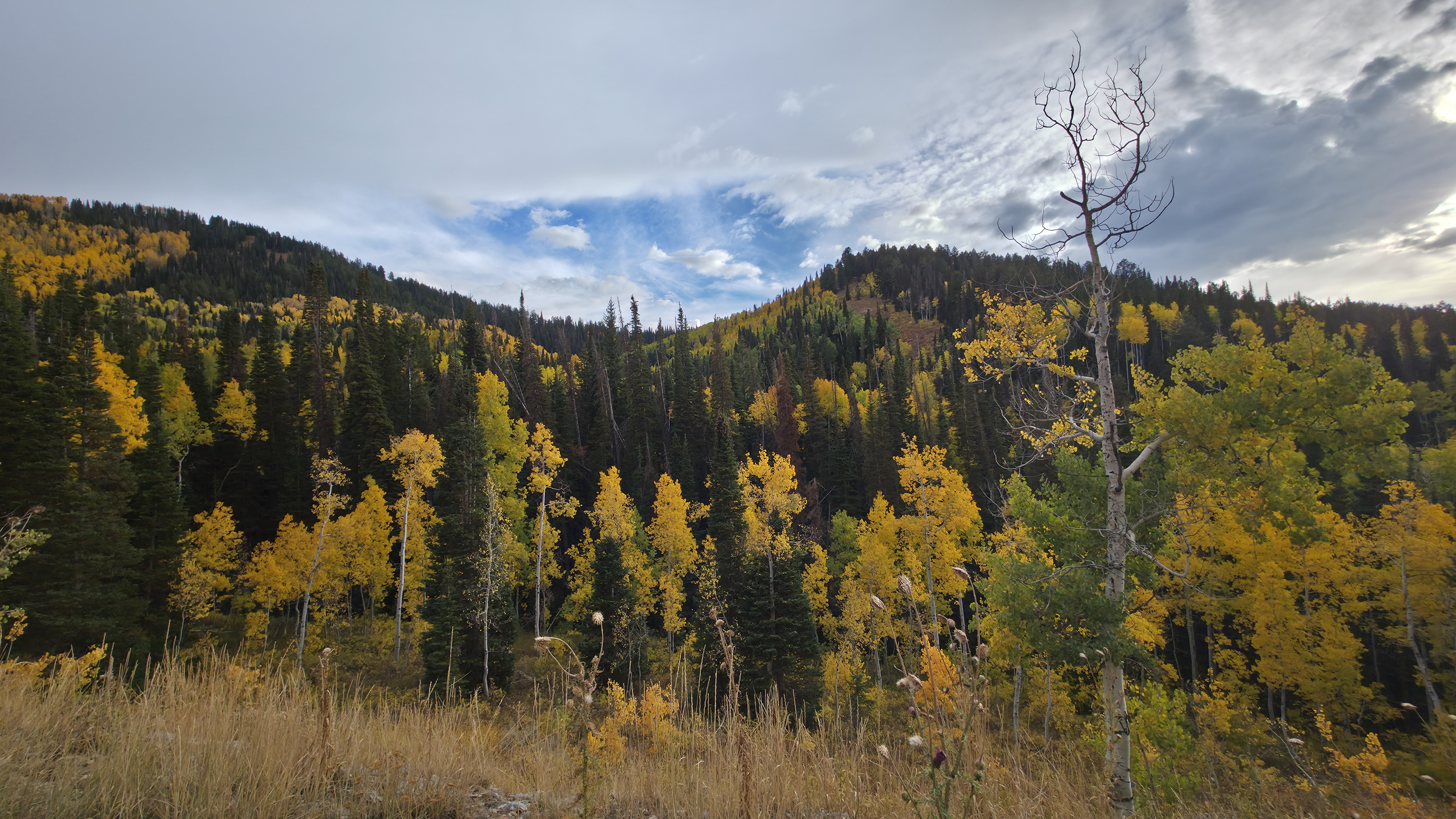 20250927_175929 20250927_175929