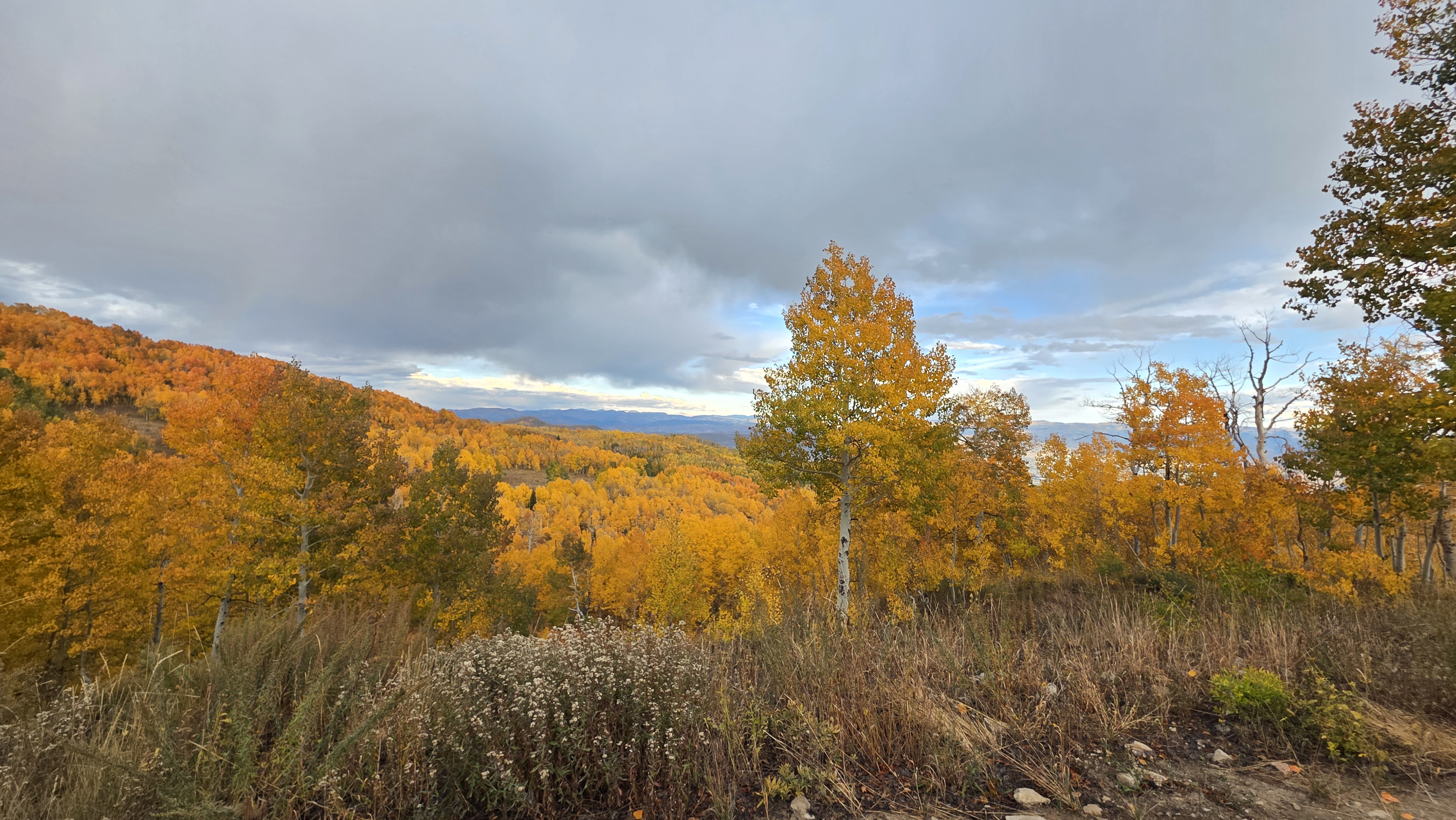 20250927_181239 20250927_181239