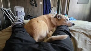 20250929_104121 20250929_104121