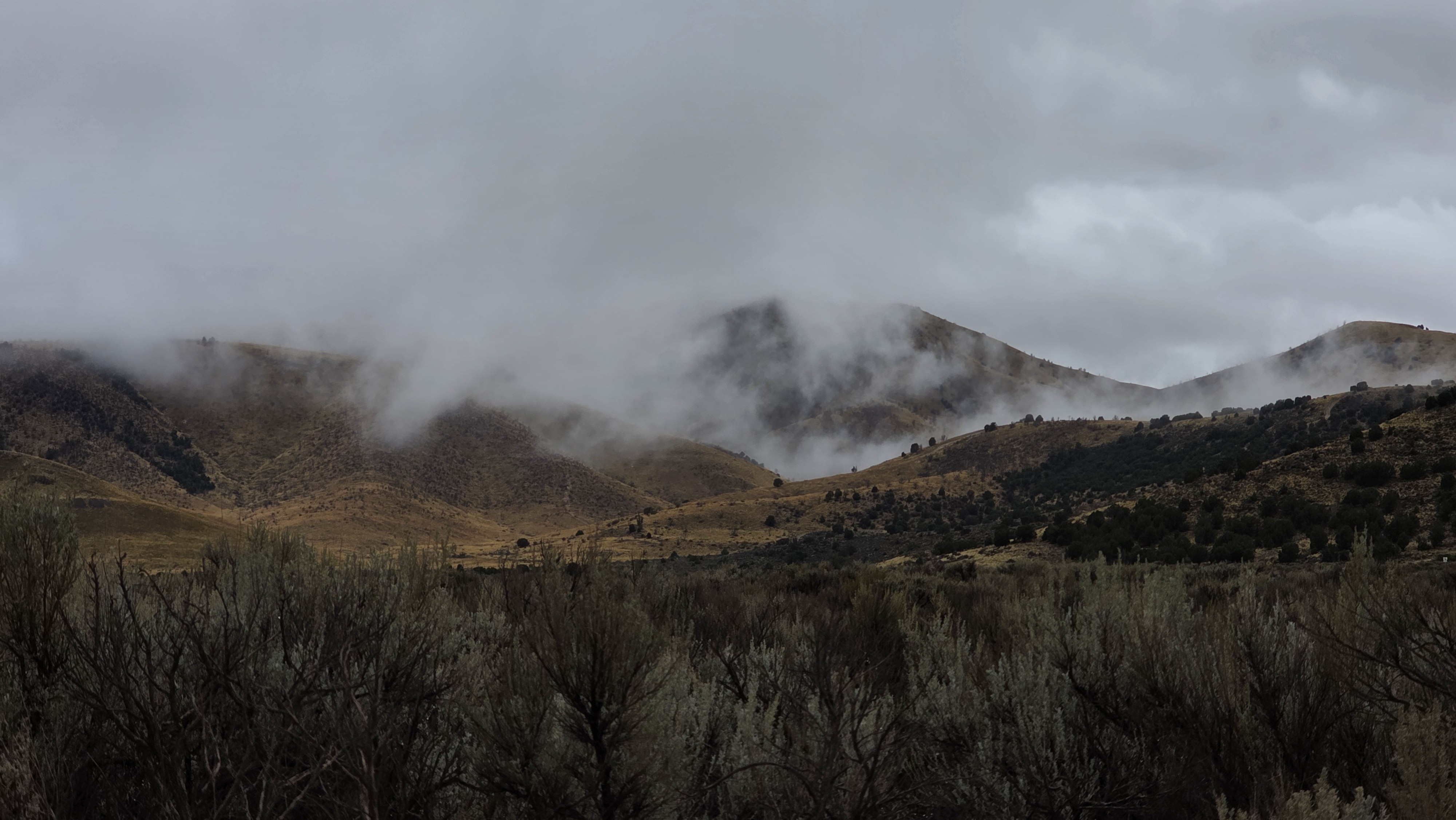 20251004_145800 20251004_145800