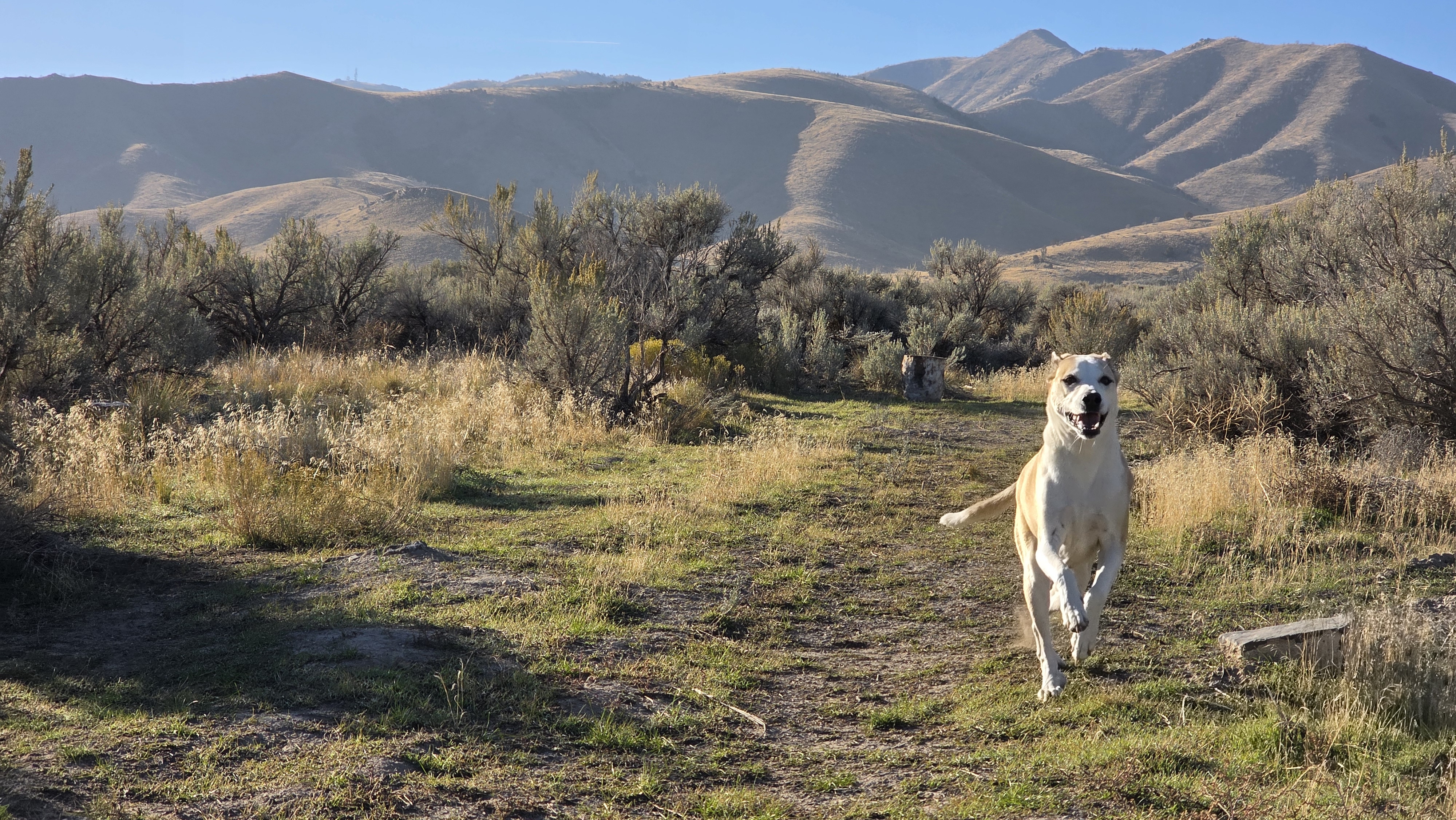 20251024_094134 20251024_094134